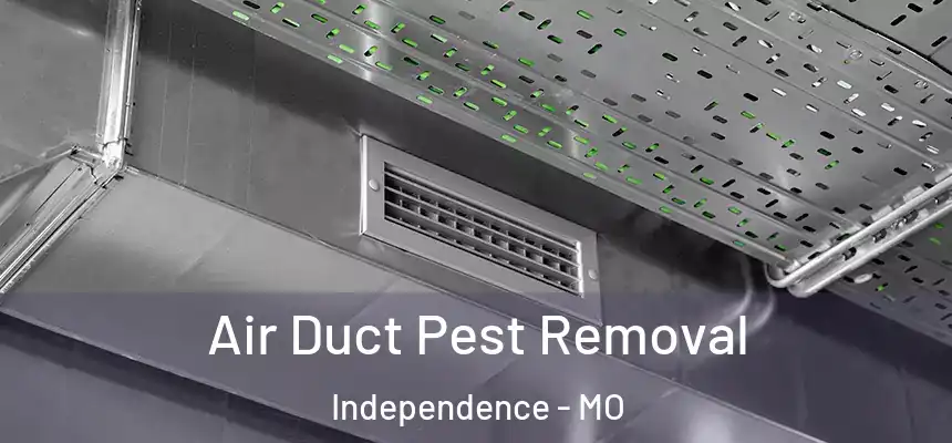  Air Duct Pest Removal Independence - MO