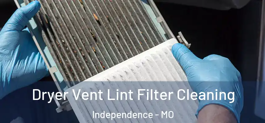  Dryer Vent Lint Filter Cleaning Independence - MO