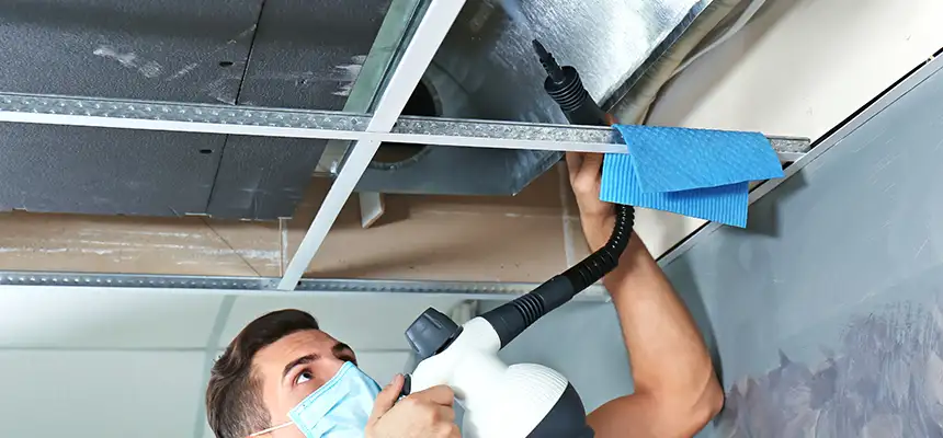 Our Air Duct Rodent Removal Services in Independence, MO