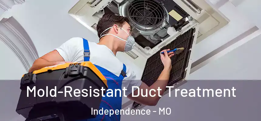  Mold-Resistant Duct Treatment Independence - MO