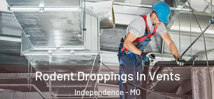  Rodent Droppings In Vents Independence - MO