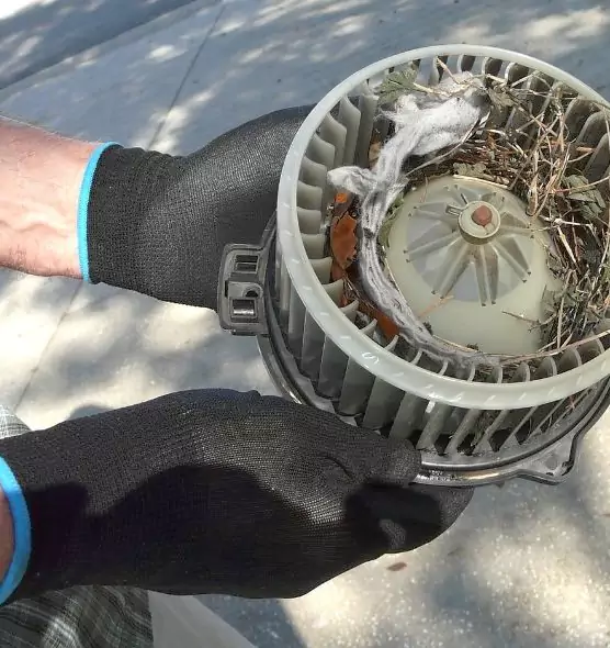 About Air Duct Rat Removal in Independence, MO