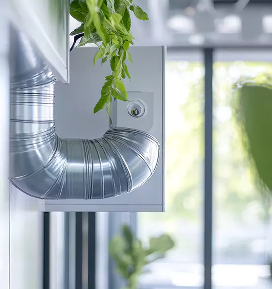 Professional Eco-Friendly Duct Cleaning Services in Independence, MO