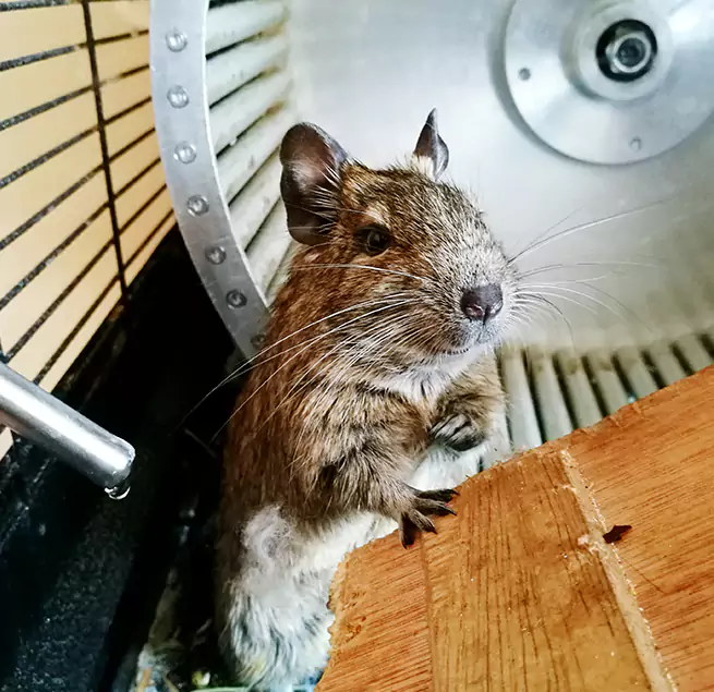 Why Homeowners & Businesses Trust Us Independence, MO